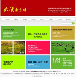 定制网站建设与企业营销策划的融合之道 以武汉南方略与腾飞立仁为例